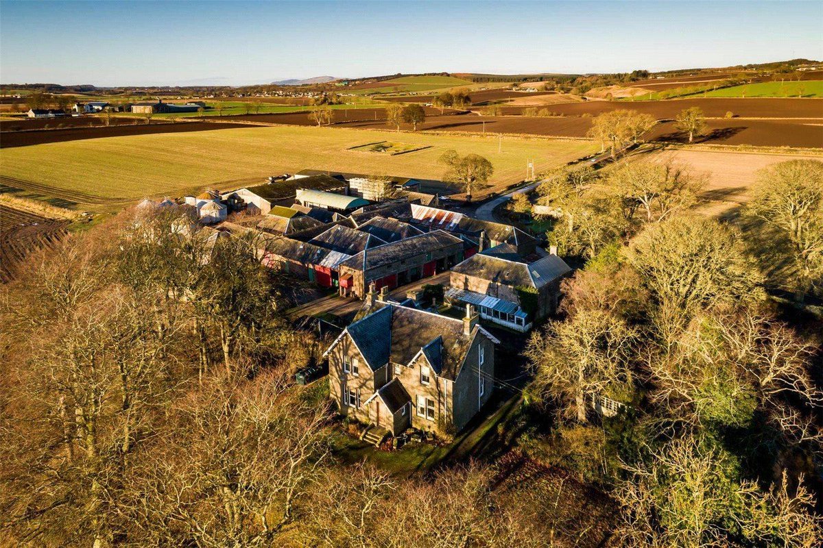 Under A Wider Sky tweet media