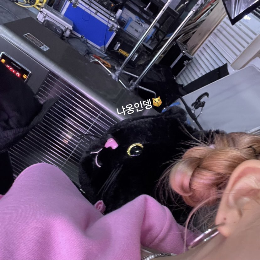 [WEVERSE] 230129 - SEEUN 🦊 created a Moment

 🦊 : It’s a cat😽

#STAYC #스테이씨 #SEEUN #세은 <a href="/STAYC_official/">STAYC(스테이씨)</a>