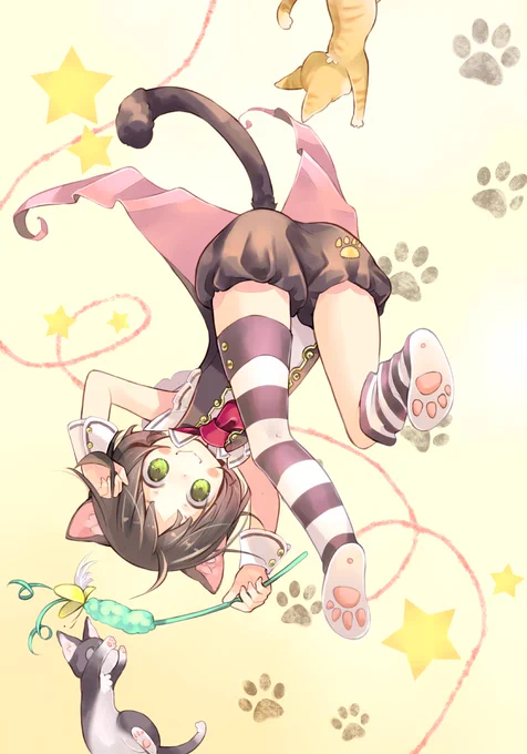 #肉球の日 