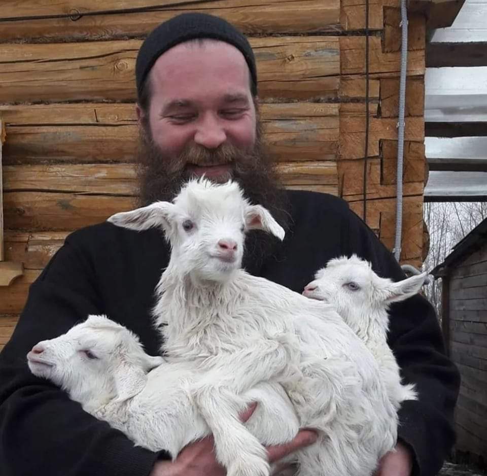 " Веселост није грех. Веруј ми. Чак ни у Цркви. Јер је пријатно Господу да сваки човек има радост у срцу. "

Свети Серафим Саровски