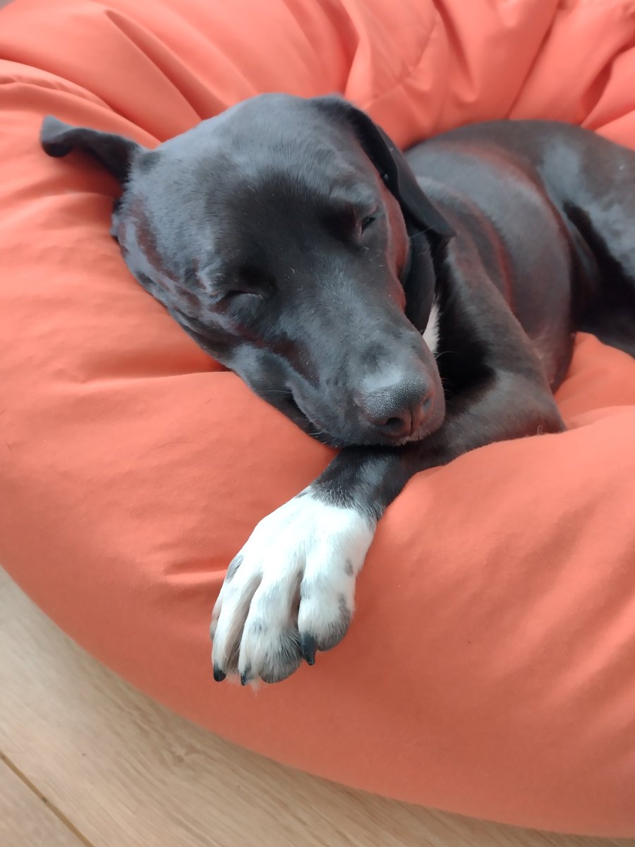 This is my Sunday morning face. I try to practice it every day though as I like to get it just right.