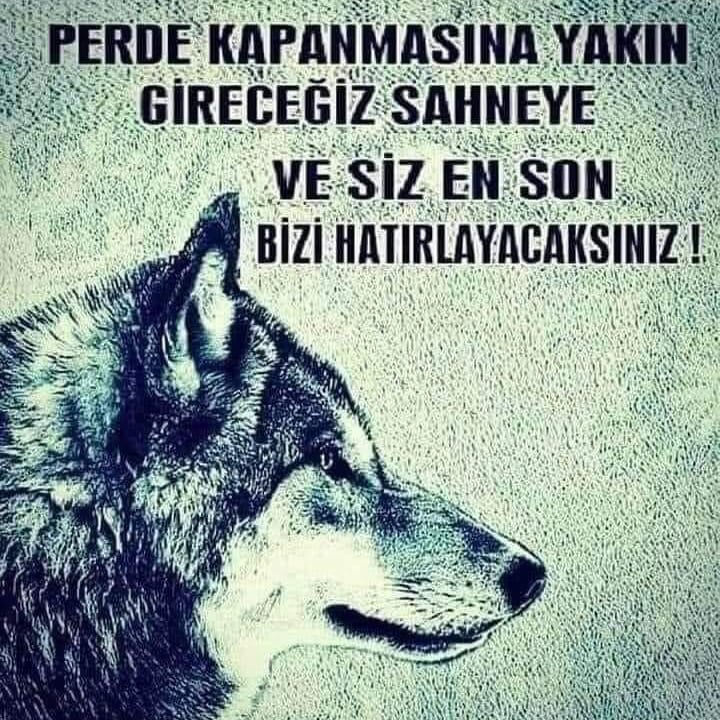 Sizler biraz daha tiyatro oynayın biz perdeyi kapatırız