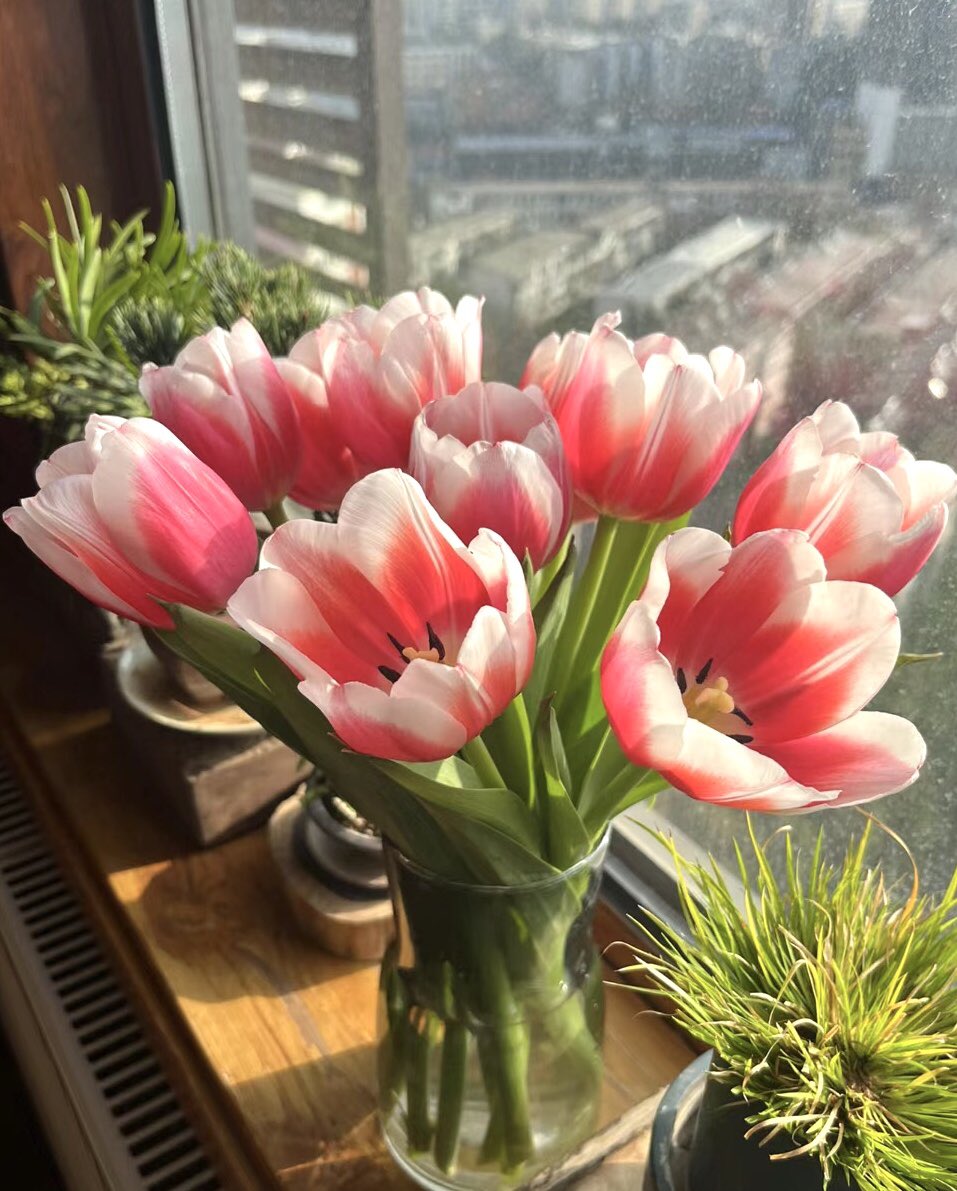 piinkibun's tweet photo. so pretty https://t.co/FEQS89oMvY