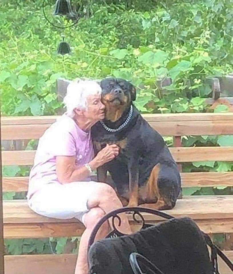 thehappydog_'s tweet photo. Photo of the day  🥰🥰 https://t.co/8cqZ4Yu7Xg