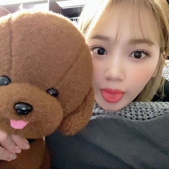Lesserafimchive's tweet photo. Random Chaewon Icons 
#lesserafim #chaewon #김채원 #チェウォン #fearnot https://t.co/p2WU3hhsti