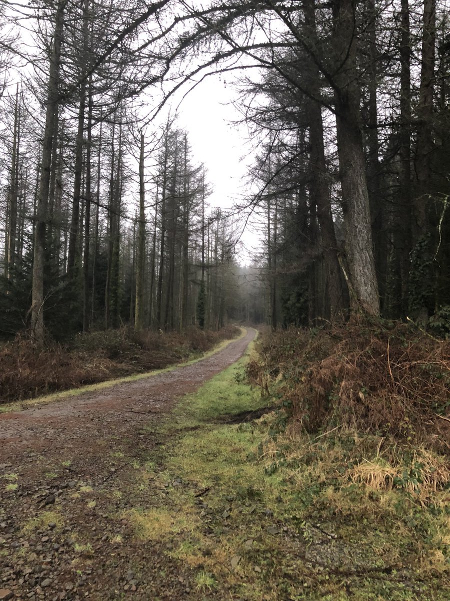 Welsh mountain dawn run #WALES #welshvalleys