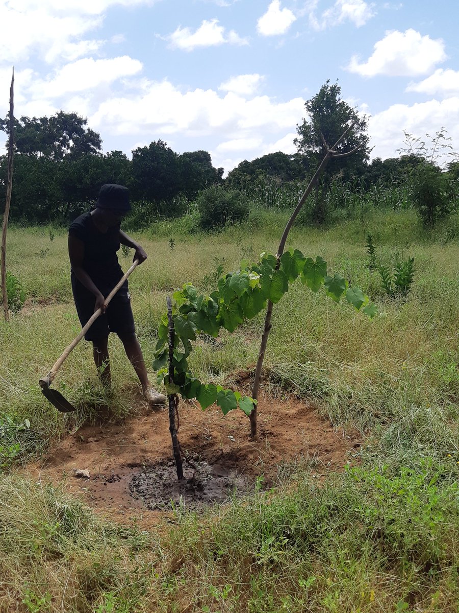 Agriculture is the present and future.
#womeninagriculture
#youthsinagriculture
#farming