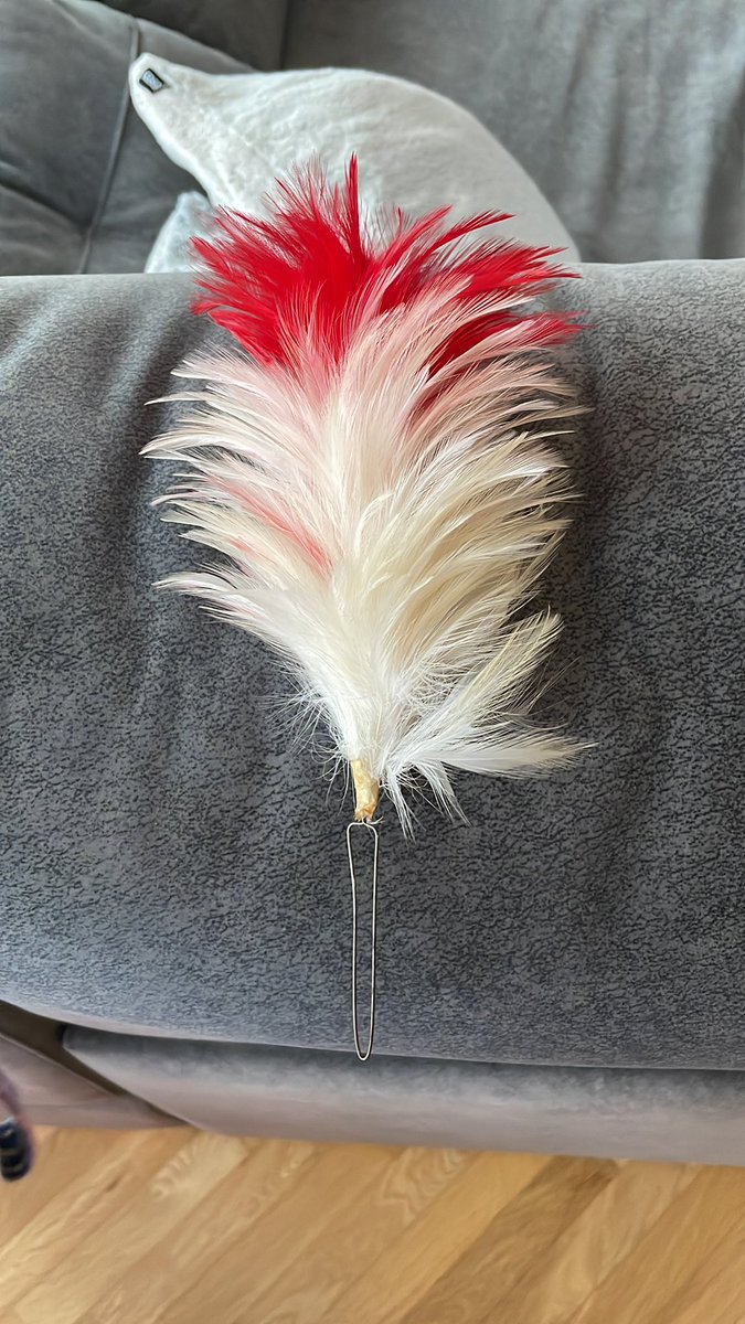 bealinares's tweet photo. @diariovasco hemos encontrado esta pluma de la tamborrada infantil. No sabemos a qué colegio pertenece. Nos podríais ayudar para devolverla a su dueño? Gracias https://t.co/G593GnlT3X