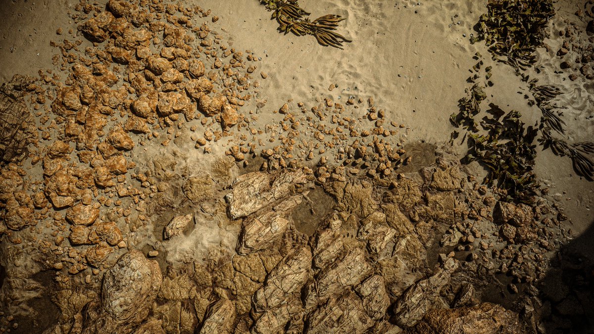 WorldviewVP's tweet image. ☀️💀
-
#APlagueTaleRequiem #APlagueTale #VirtualPhotography