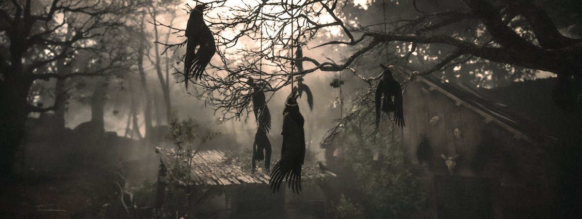 WorldviewVP's tweet image. ☀️💀
-
#APlagueTaleRequiem #APlagueTale #VirtualPhotography