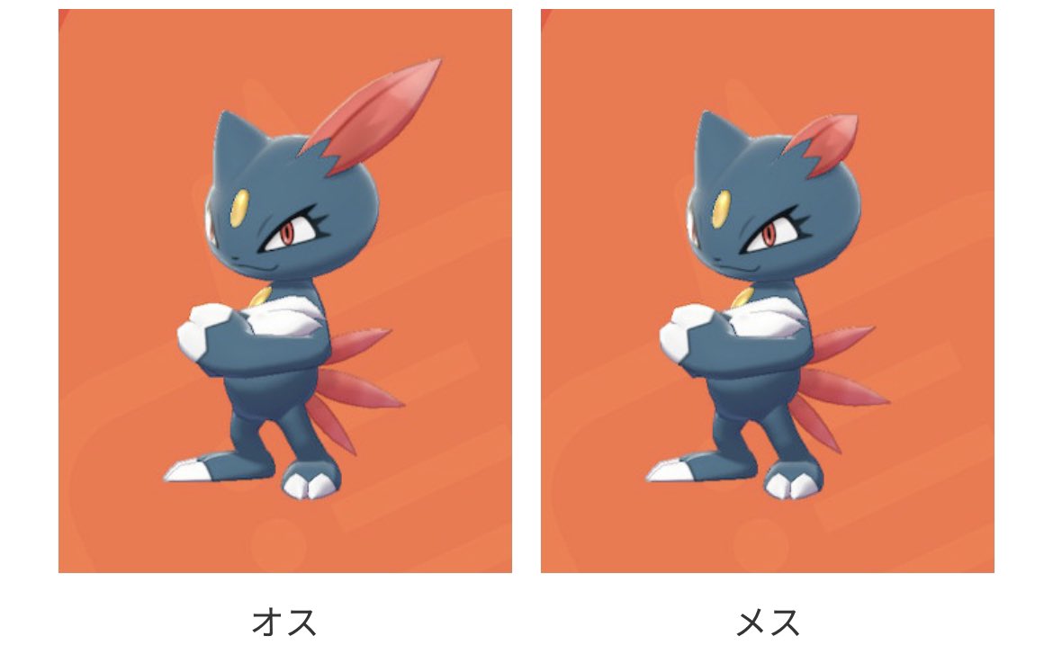 わぐ ポケモンの性別による違い T Co Fm8uupi7sd Twitter