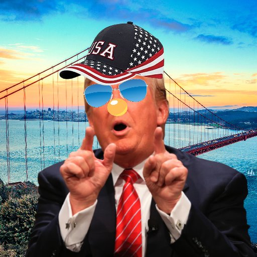 If you see this your still early 😉 
#trumpdigitaltradingcard #nft #NFTCommunity #polygon #polygonNFT #Freemint #nftgiveaway