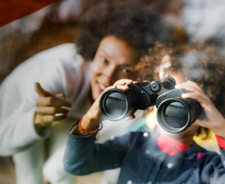 ERCL4's tweet photo. Big Garden Birdwatch is here & there's still time to take part. Just spend 1 hour today counting birds & help monitor how birds are faring. It's free, fun & a fab way to keep an eye on local wildlife. https://t.co/2YYNx8Ss88 #GreenERLibraries https://t.co/EQuzyPJ61h