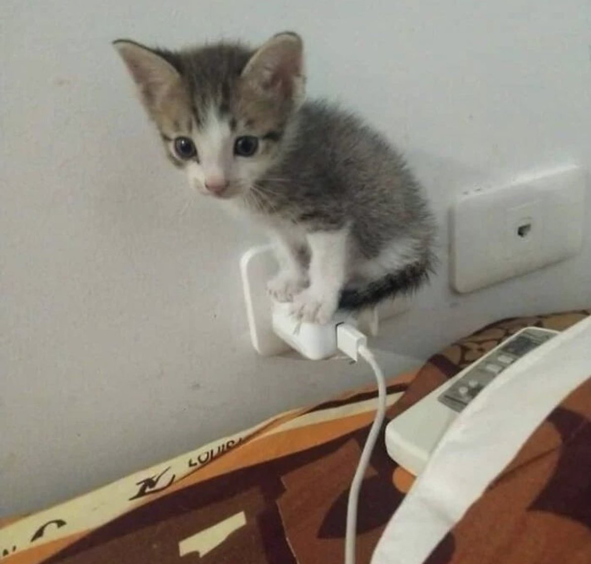 kochengfs's tweet image. 🐈‍⬛ lowbatt guys lagi dicharge