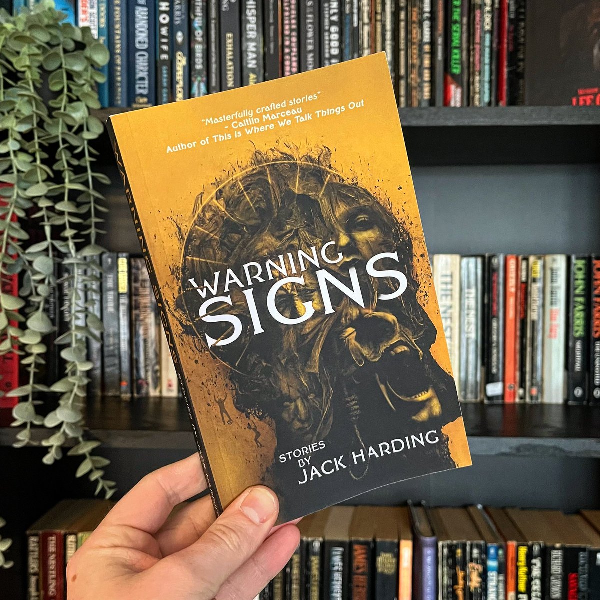 JHardingAuthor's tweet image. IT’S ALIVE! ⚠️💀👀⚠️

#newbooks #indieauthors #writing #WritingCommmunity #paperbacks