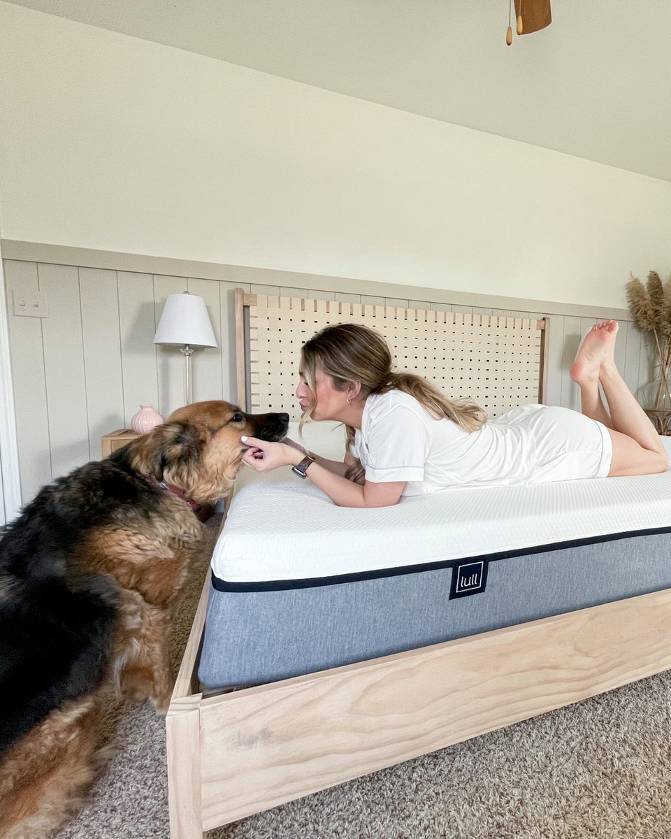 2 of our favorite things: dogs and our Lull mattress! 🐶
.
.
.
.
.
#lullmattress #getyourlullon #petsbringustogether #petsrule #petsuniversal #petsofinstgram #petsphotography #petstagrams #petsinstagram #petsfriendly #petsathome #petslove #animalfanatics #animalinstagram #puppy