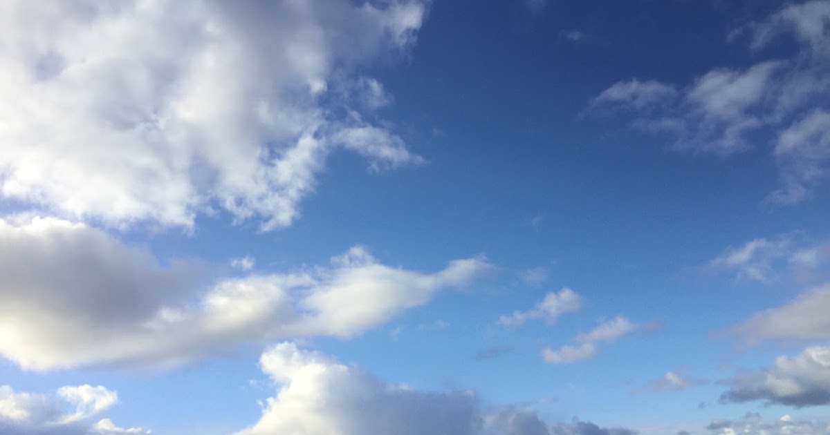 sheilayoshikawa's tweet photo. Call for Chapters: Critical Information Literacy Applications in Libraries: There is a call for chapters for a book to be published by the American Library Association; working title Critical Information Literacy Applications in Libraries. It… https://t.co/ulrYMcXrzS #infolit https://t.co/8h7AddgAnt