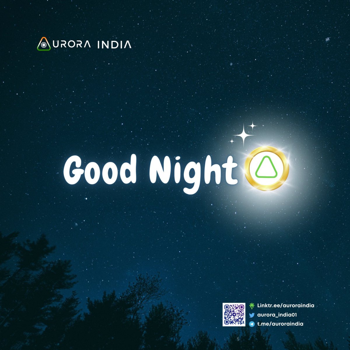 riseinovation's tweet photo. Aurora Nights๐, Shooting For The Stars๐ซ
#keepcalm
#stopwhining
#contributetoaurora https://t.co/DjZDWVyrO2