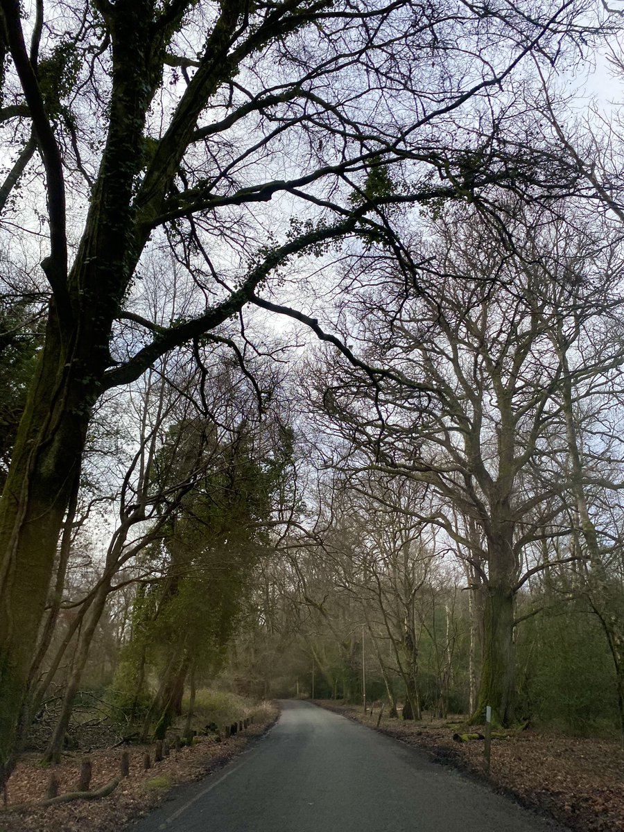 ShubhraHalliday's tweet photo. A lovely time away #Ringwood #NewForest in Hampshire and then to #Mudeford in Dorset! And the weather held 🙌🏽 https://t.co/aiG9T8LBIS