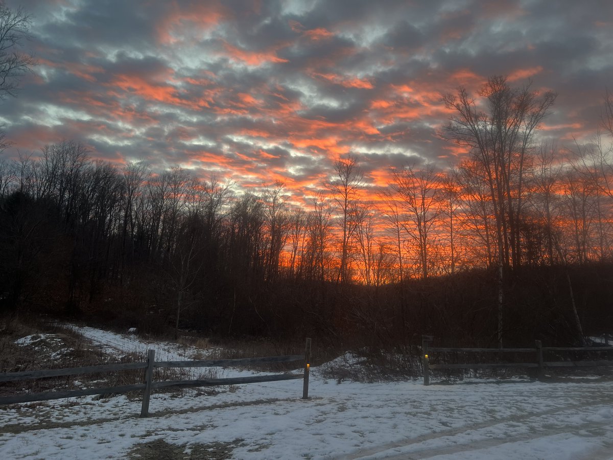 L_E_Marshall's tweet photo. Such beauty and peace. A beautiful place to write. What I found #WhatIFound
@HighlightsFound https://t.co/yKMZV3GWZe