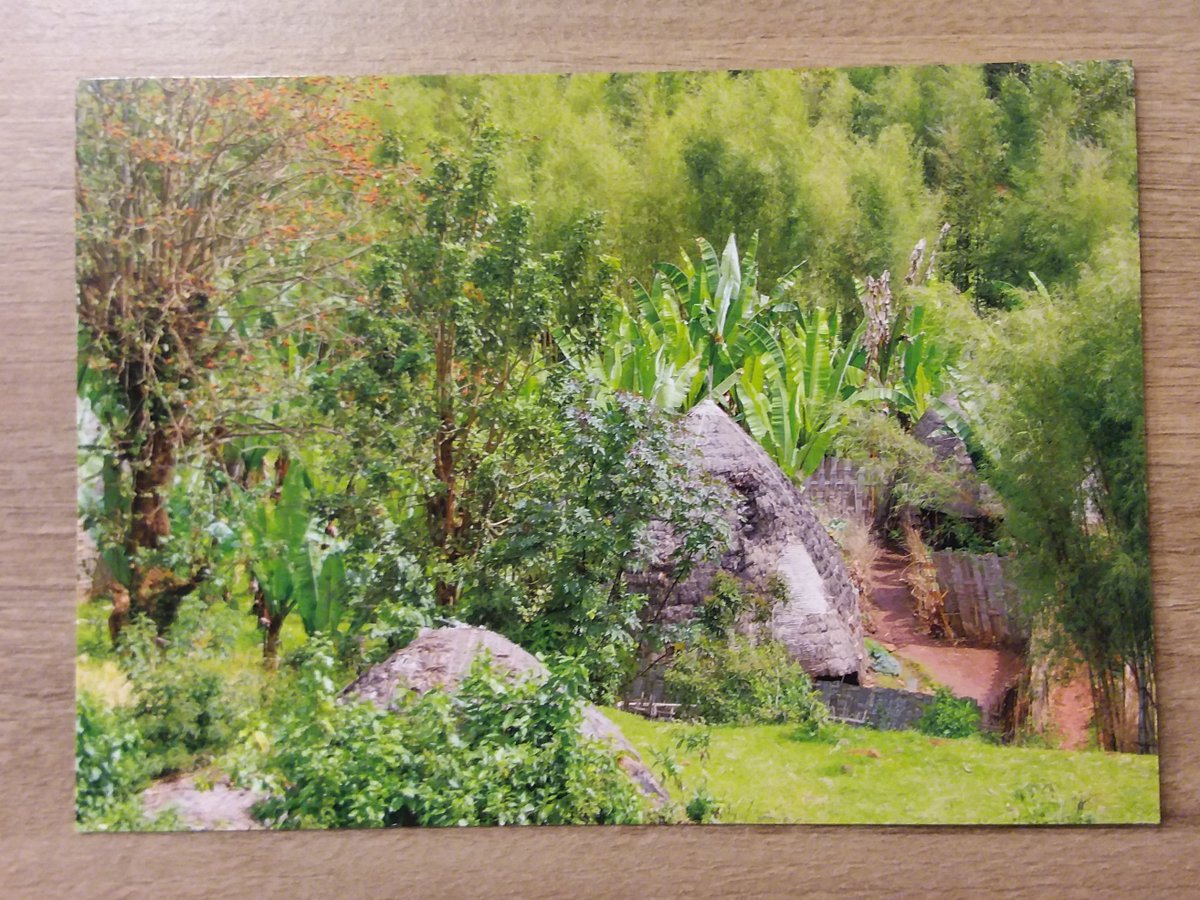 AvenidaRustavel's tweet photo. Gamo Highlands, Dorze village, ETHIOPIA 🇪🇹 #dorzevillage #dorzepeople #dorze #ethiopia #etiopia #etiopía #äthiopien #ethiopie #ኢትዮጵያ #postcards #postcardcollector #mypostcardcollection #sellos #postales #stamps #stampscollection #philately #filatelia #africa #hornofafrica https://t.co/N1MFUNgMQt