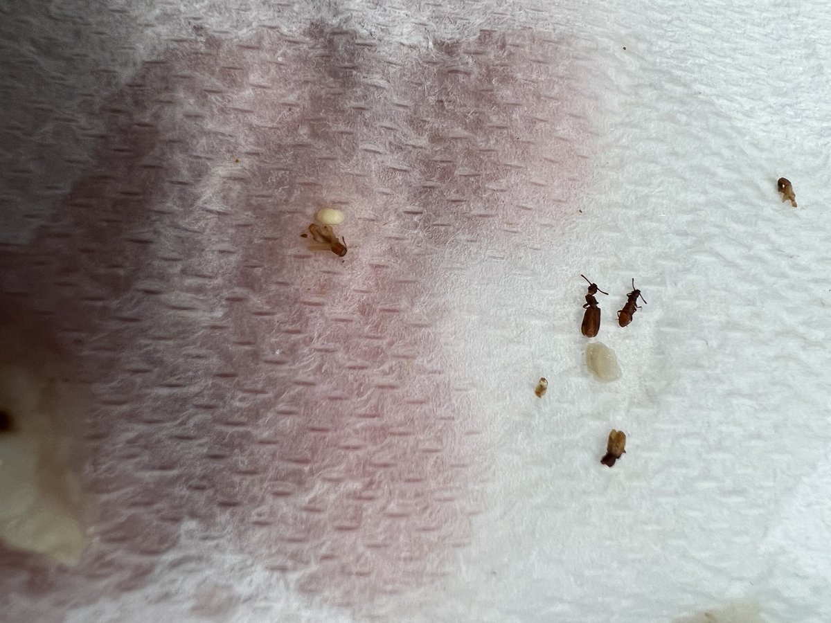 Angelique Martinez tweet media