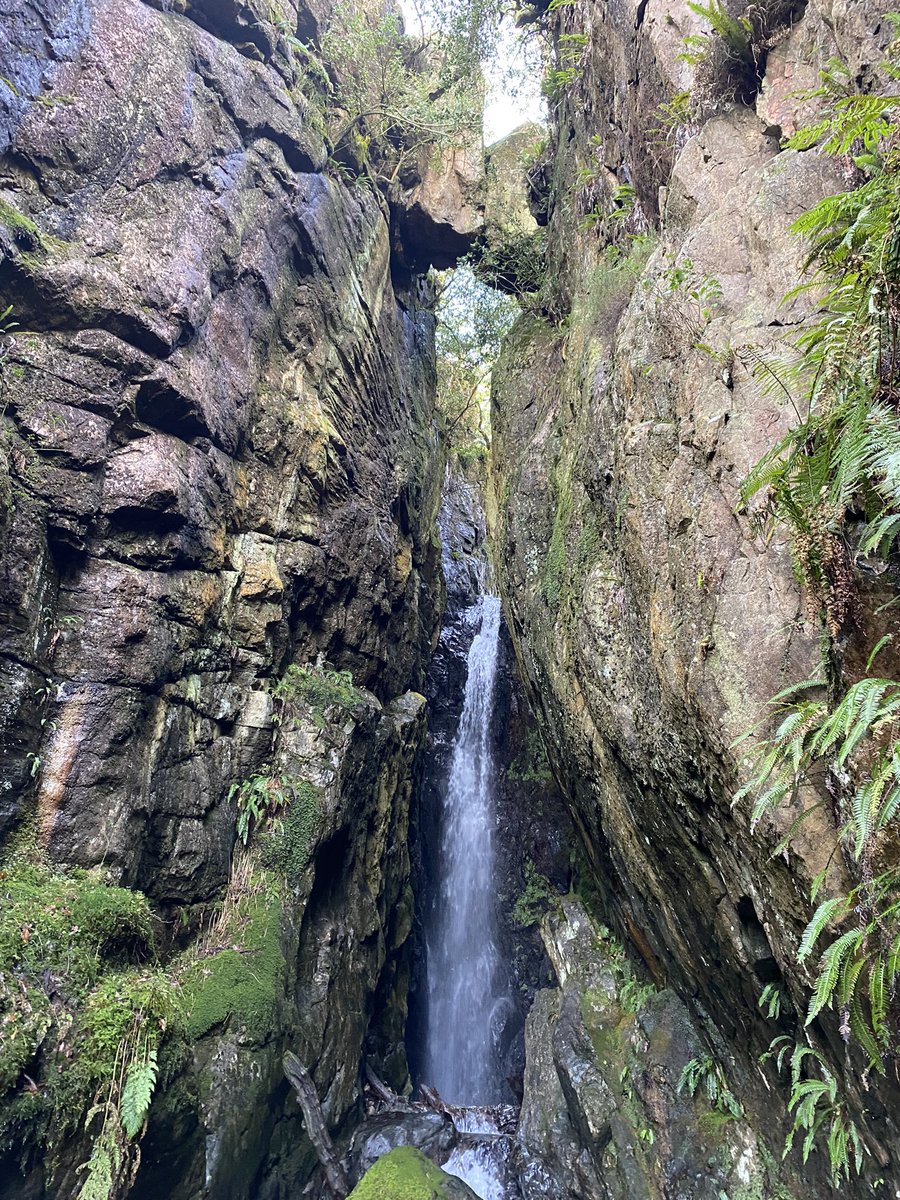 Anthony Cropper tweet media