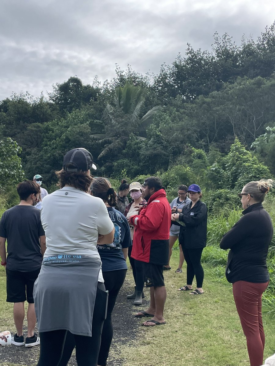 Windward CTE tweet media