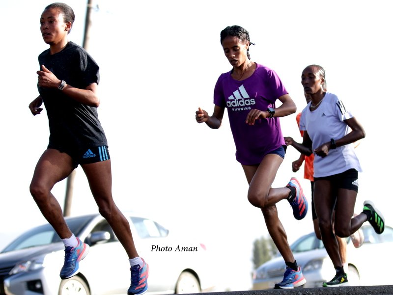 The athletes are preparing for the Dubai, Boston, Tokyo Marathons and @rakhalfmarathon .

@bostonmarathon , @dubai_marathon 
@tokyo42195_org  @adidasrunning
