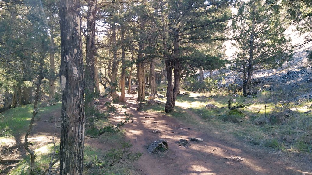 IsaacLopez79's tweet image. La #Fuentona y #Calatañazor siempre es bien. Mañana de turisteo.