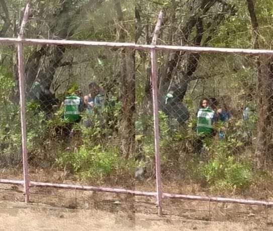 #Nicaragua | Sorprenden a pareja haciendo el delicioso en laderas de laguna de Asososca

🔗 bit.ly/409HLLV

La entrada a la laguna está prohibida y es muy peligroso por riesgo de derrumbe en medio de los fuertes vientos que azotan Managua

📱Reportero Zinica: 8714 7650