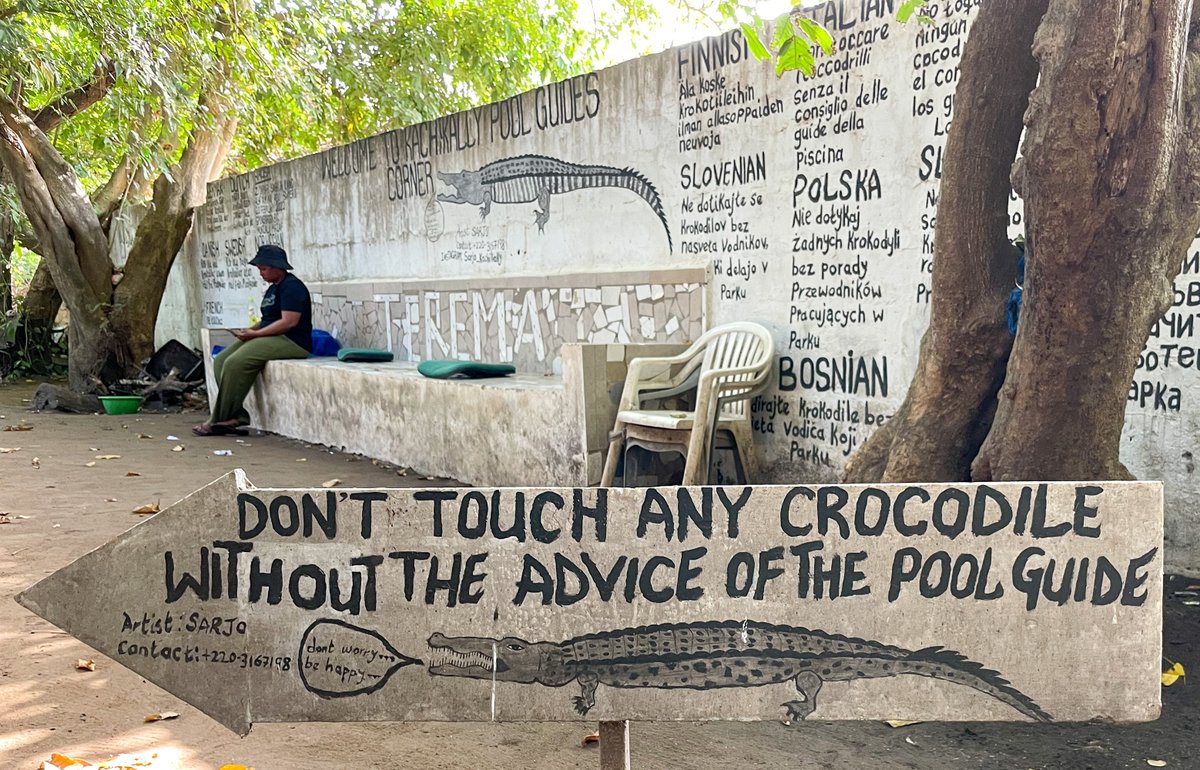 Abigail King tweet media