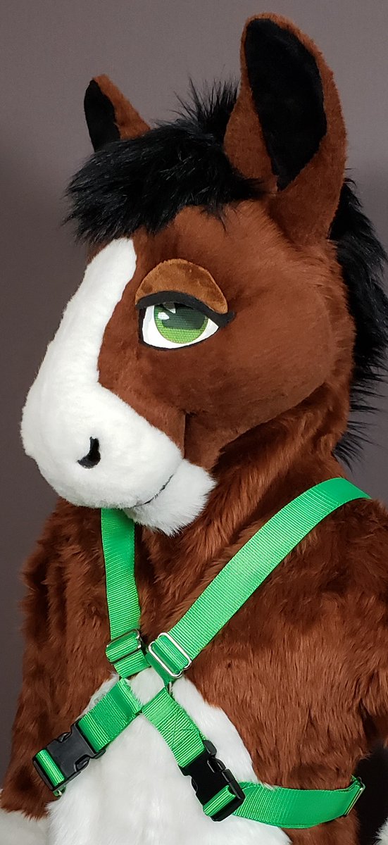 Going to TFF?
Need a new harness or accessory?
Order now for pre-con delivery!
etsy.com/shop/DesertHor…
orders placed after 15Feb up until 01Mar will be available for at-con delivery