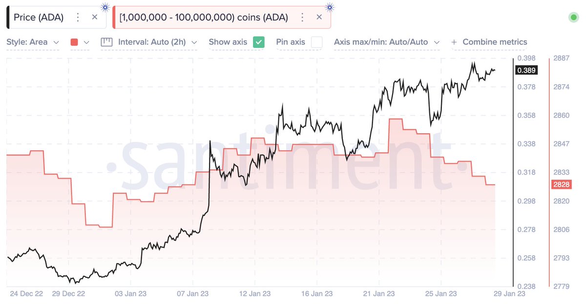 Cardano Slows Down As Large Addresses Distribute ADA