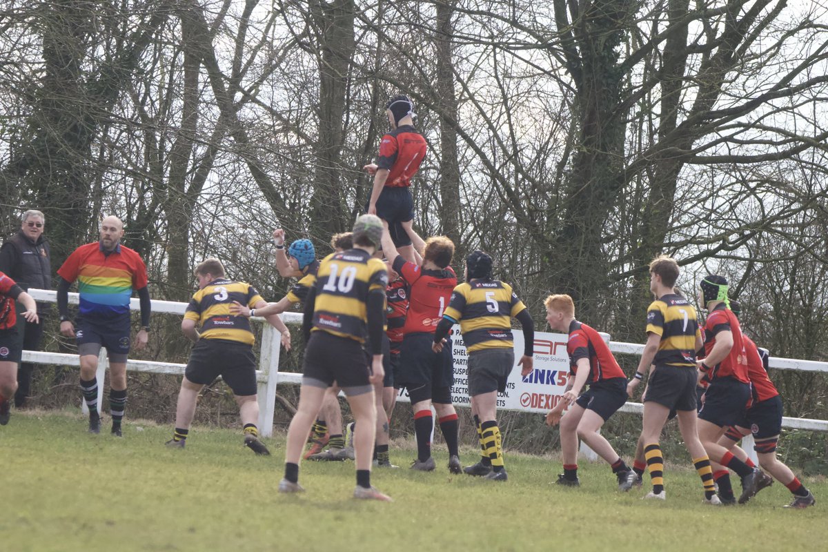 @MoseleyRugbyColts tweet media