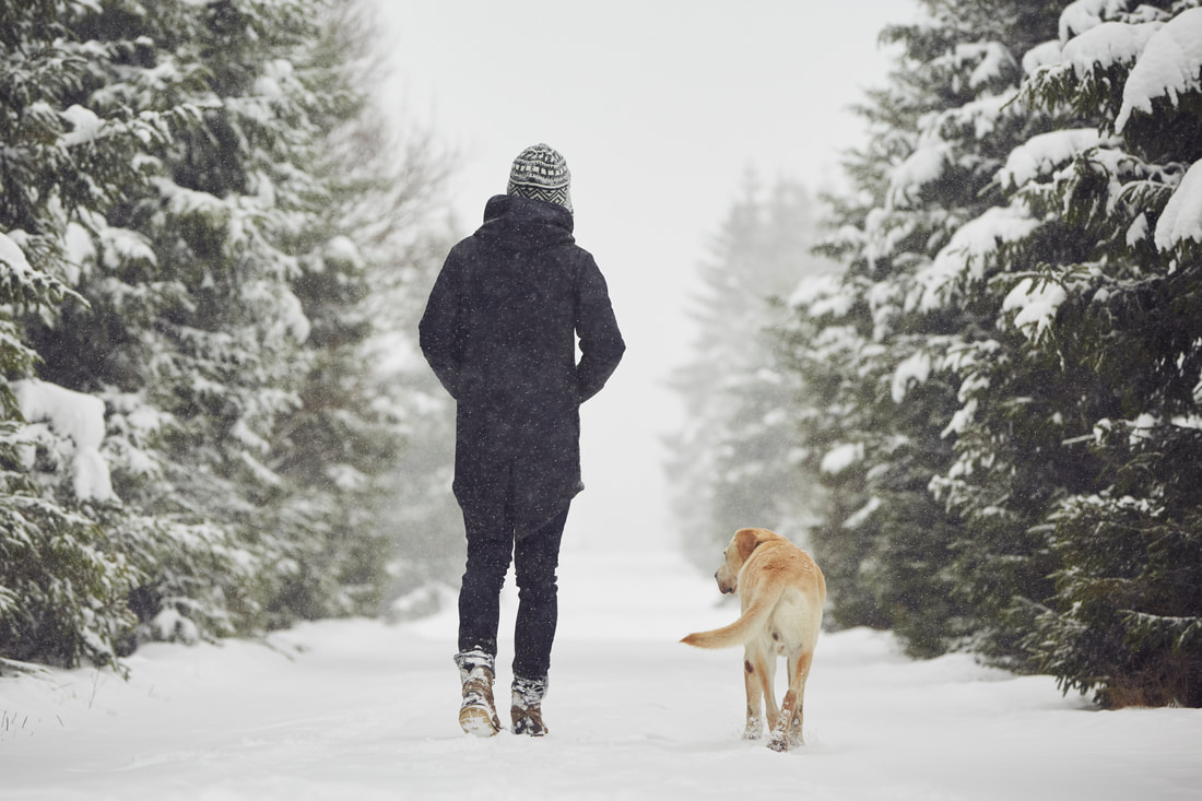 Whether you made the resolution to spend more time outdoors, or are simply looking for a breath of fresh air this winter ❄️, read on. We have 6 great tips for enjoying being outside around #FrontRoyal all year long. t.ly/eFCs #discoverfrontroyal #greatoutdoors