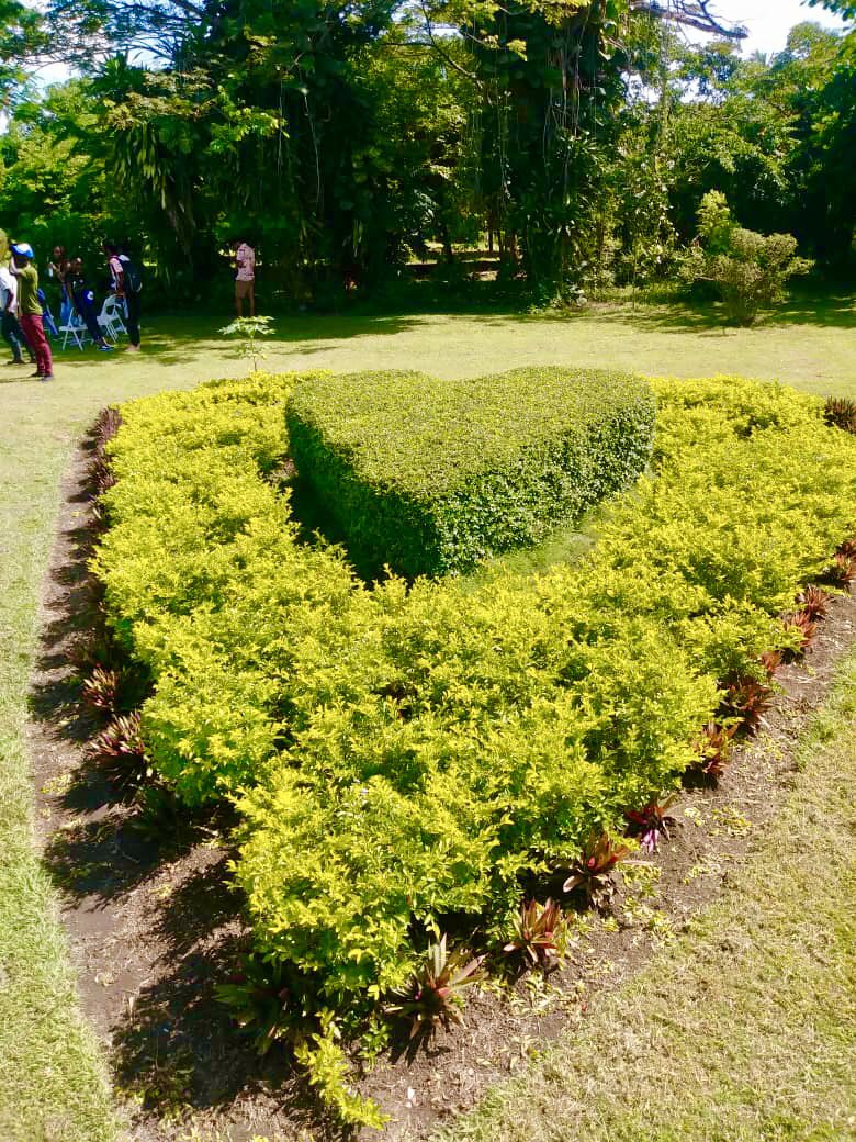 team_ave2_0's tweet photo. EDEN TOUR 🌺 | La nature est notre plus belle source d'inspiration. Découvrir la beauté sauvage du Jardin Botanique des Cayes est un vrai plaisir. https://t.co/lXAy9owSKd