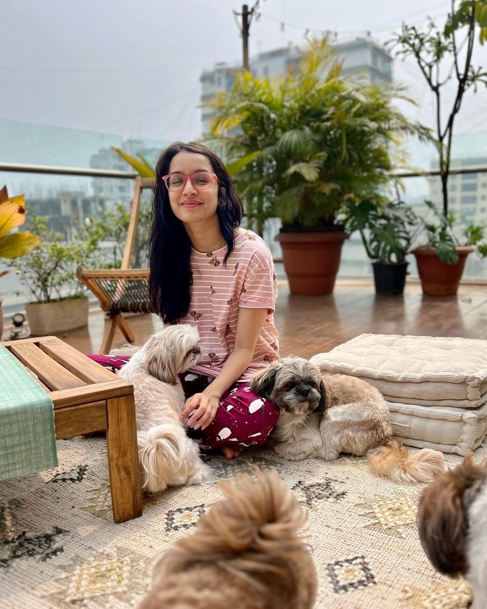 DelhiTimesTweet's tweet photo. "#Kisme himmat hai #Sunday ko #Sun aur mere beech mein aane ki??? 🌞🙃"
@ShraddhaKapoor drops adorable pictures from her #SundayFunday, featuring some furry babies 🐾
#ShraddhaKapoor #ShraddhaKapoorFans #SundayFeels #TJMM #DogsAreLove #TuJhoothiMainMakkaarTrailer #Bollywood https://t.co/mspWFzTWXd