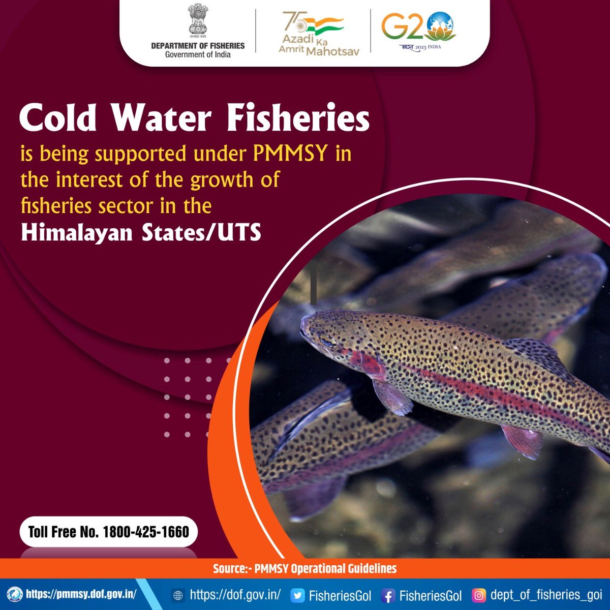 Department of Fisheries, Min of FAH&D on Twitter "PMMSY provides support for promotion of cold