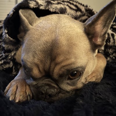 AuNewt's tweet photo. #NewProfilePic https://t.co/zuIRVRZJ77