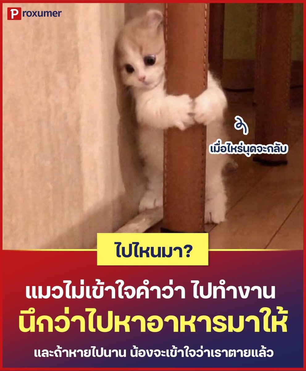 เป็นน่ารักเลยดิ