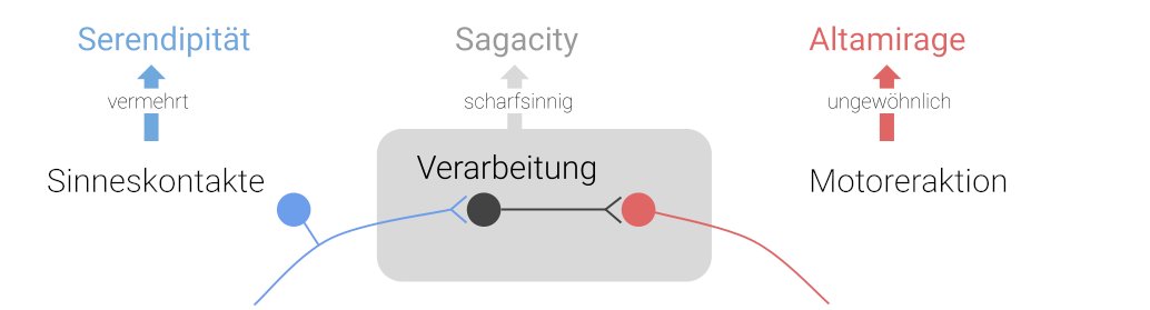 Markus A. Dahlem tweet media