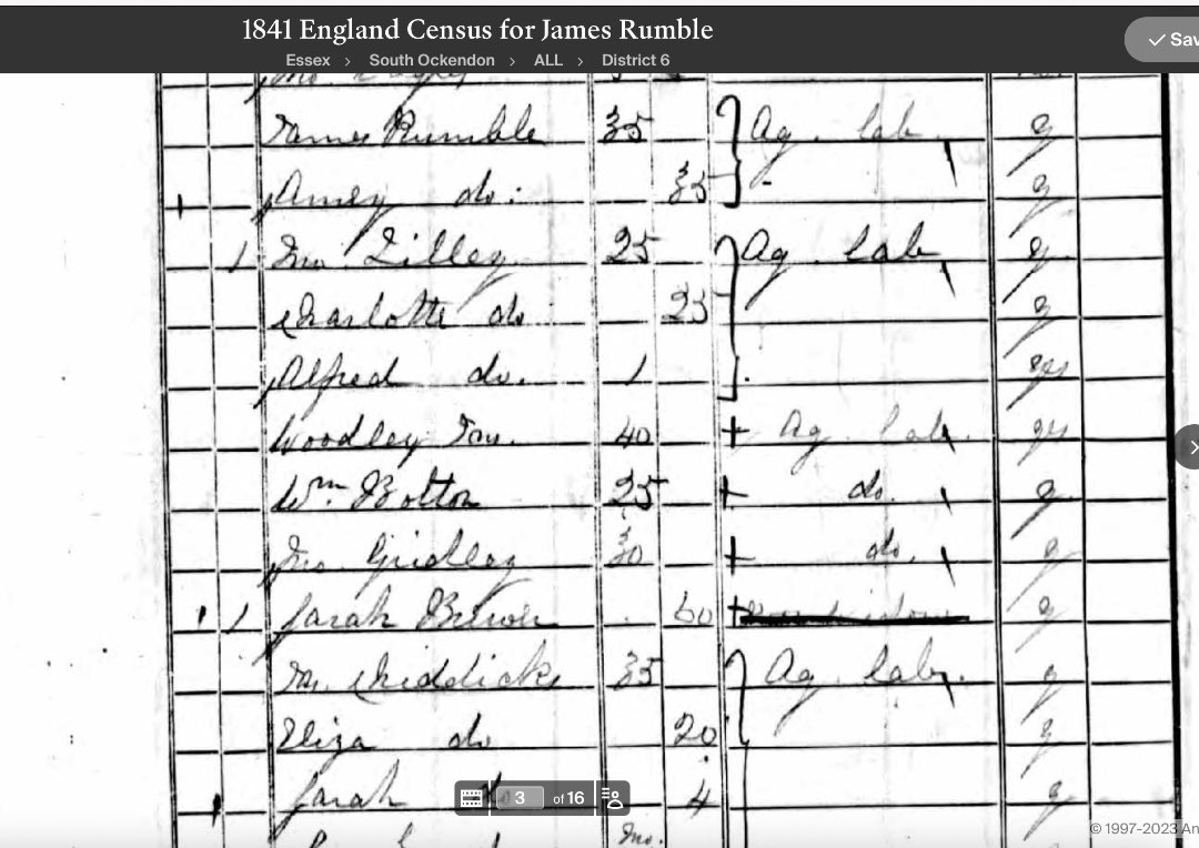 Paul Chiddicks tweet media