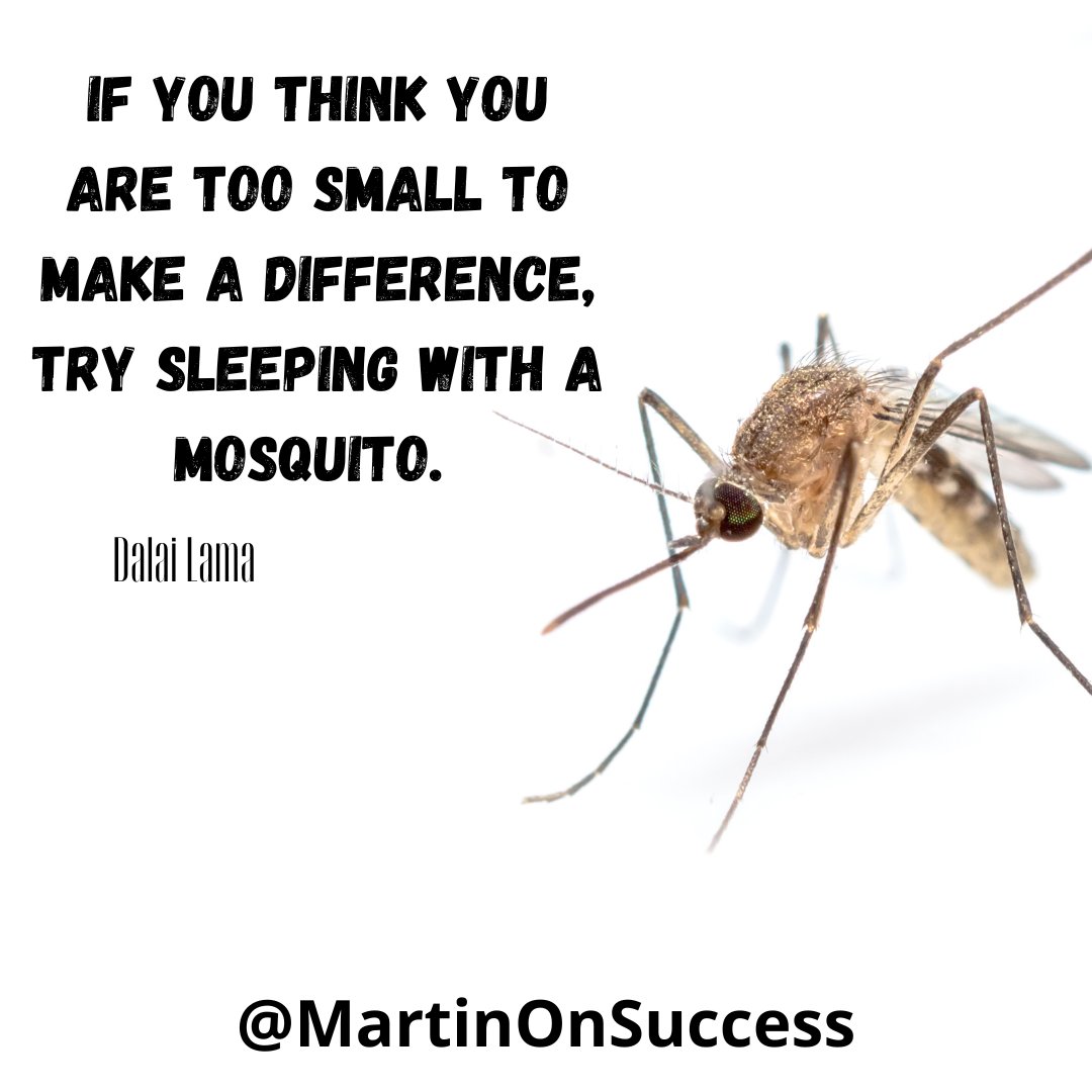 We all sometimes wonder if we will, or even can be successful in our lives. Here is some consoling advice from the <a href="/DalaiLama/">Dalai Lama</a> 

#success #personalgrowth #selfdevelopment #mindset #inspirationalquote #motivation