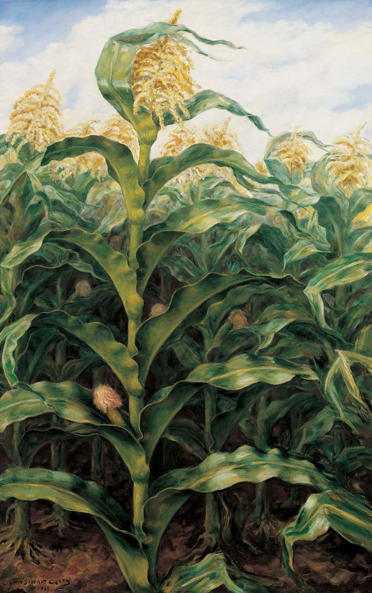 🌻Happy #KansasDay2023! 🌻Our great state turns 163 today. Did you know the first work of art in our Roland P. Murdock collection was by a #Kansasartist of a #Kansas scene? Visit today when general admission is FREE & see John Steuart Curry's 'Kansas Cornfield.' #ToTheStarsKS