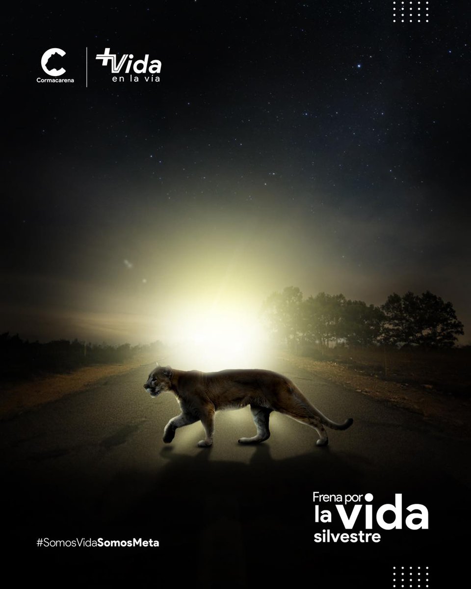 Cormacarena tweet media