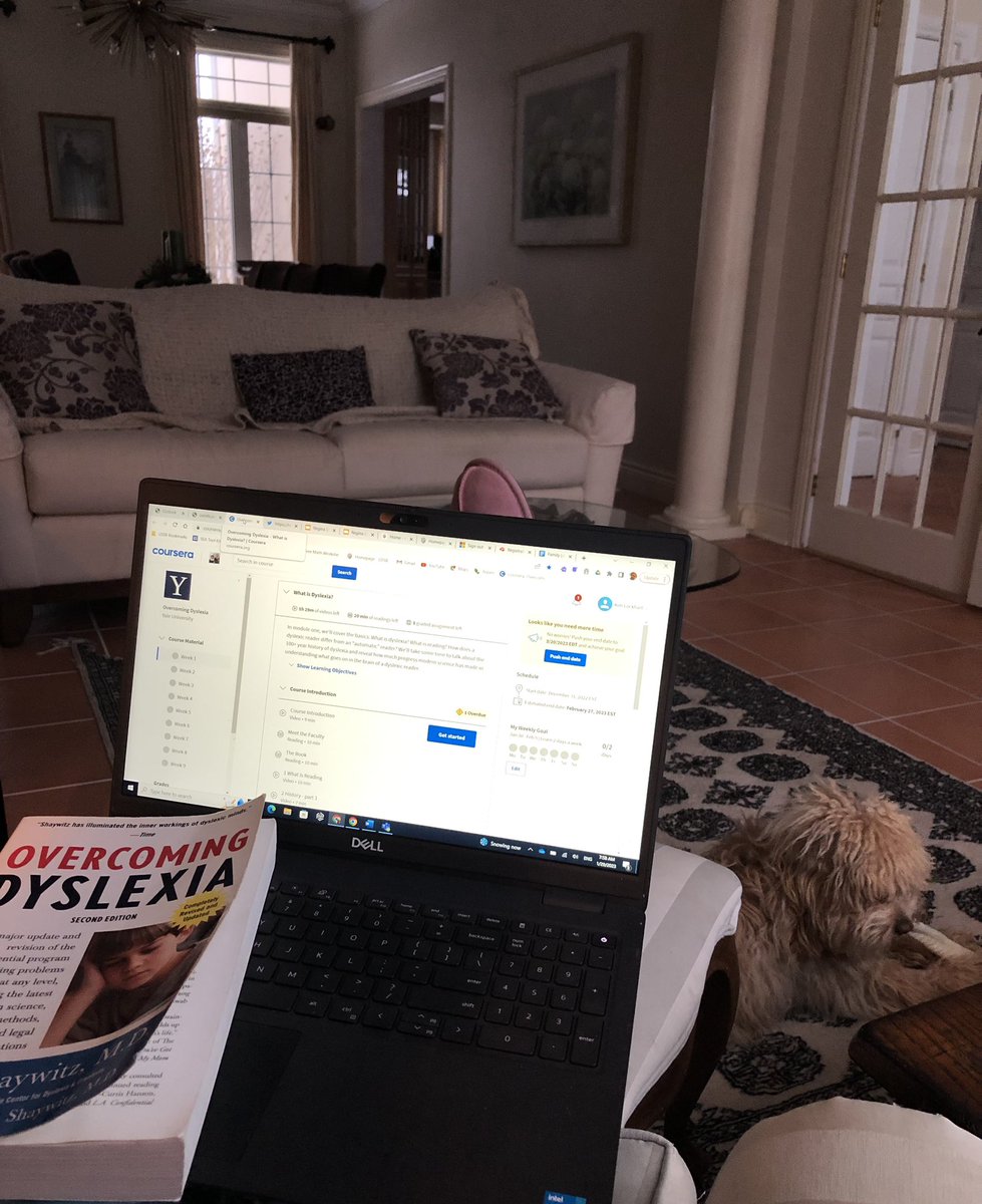 MmeLockhartLDS's tweet photo. My favourite time of day- Sunday morning before anyone else is up!☕️
Perfect time to snuggle up, read &catch up on this amazing #OvercomingDyslexia course through @coursera. This was the first book in our #SoRBookClub @LimestoneDSB & I can’t wait to dig into it again! @KFPL #SoR https://t.co/VvpPUQT4xt