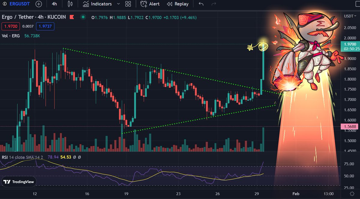 Foeniculum tweet media
