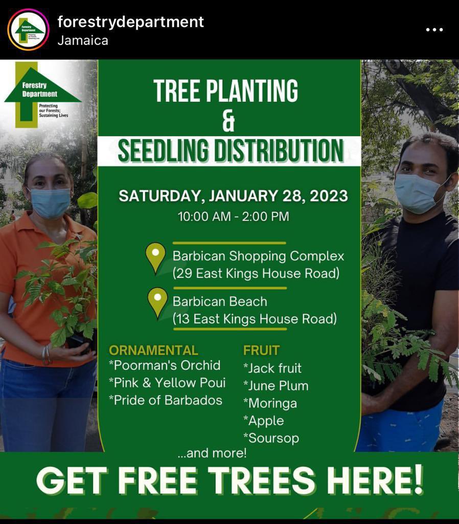 matthewsamuda's tweet photo. Yesterday, we kick started our push to increase tree cover in urban centers as a part of the #NationalTreePlantingInitiative
Pt1.
@ForestryDeptJa @megjc_jm https://t.co/QDU7BsIxFn