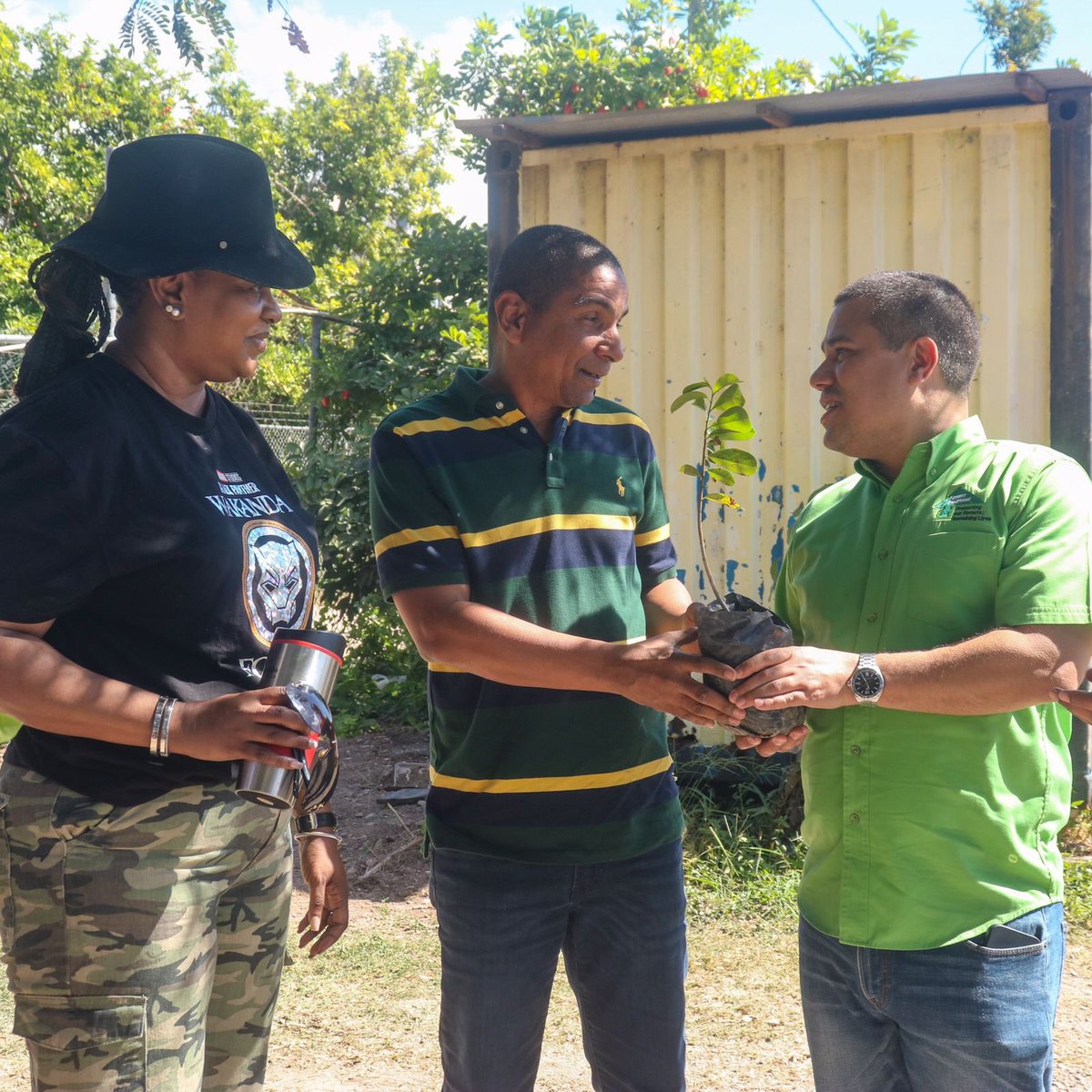 matthewsamuda's tweet photo. The initiative saw distribution of over 3000 seedlings to citizens. We mixed ornamentals with fruit trees including Poui, Poor Man’s Orchid, June Plum, Sour Sop etc
Pt2.
@ForestryDeptJa @megjc_jm
#NetGainInTreeCover #NTPI
#Ornamentals #FruitTrees #UrbanForests https://t.co/wFTil1dlcm